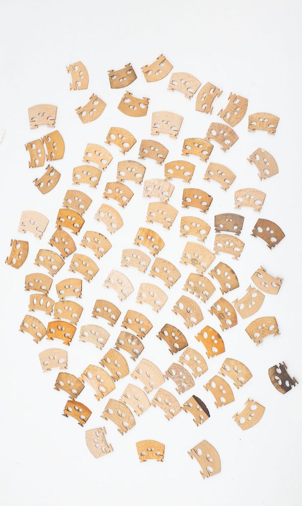 A collection of  violin and viola bridges