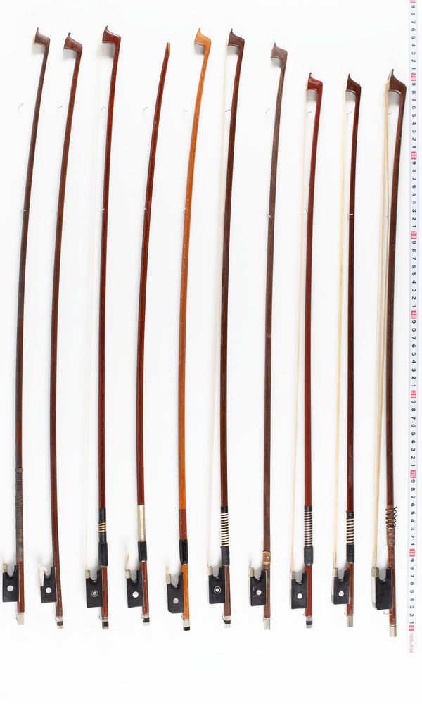 A bundle of twenty bows, varying sizes