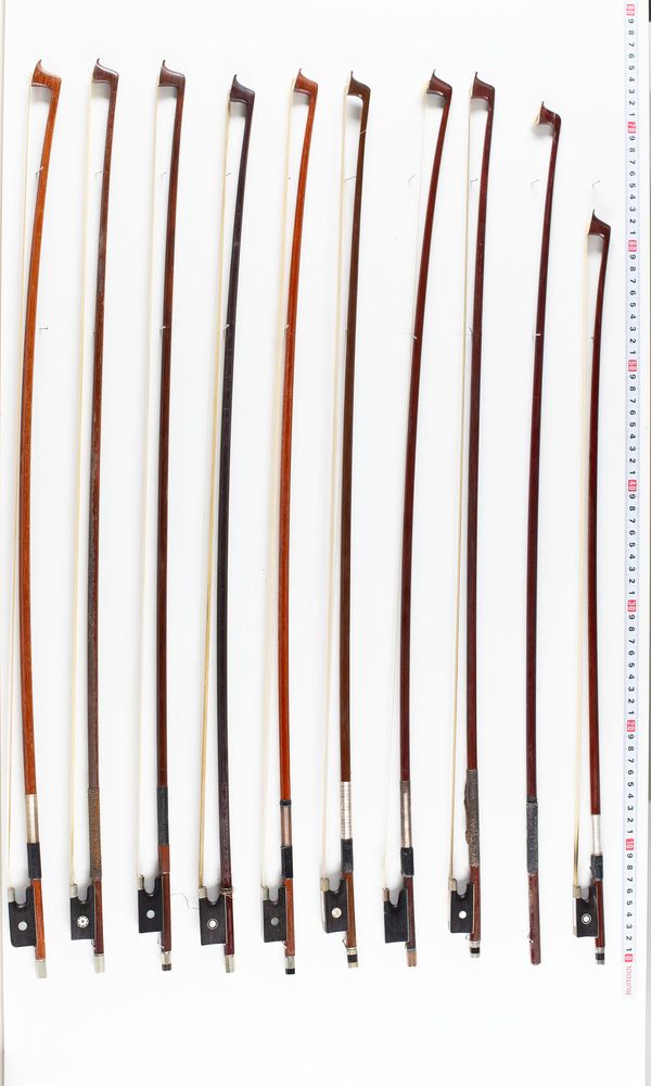 A bundle of twenty bows, varying sizes