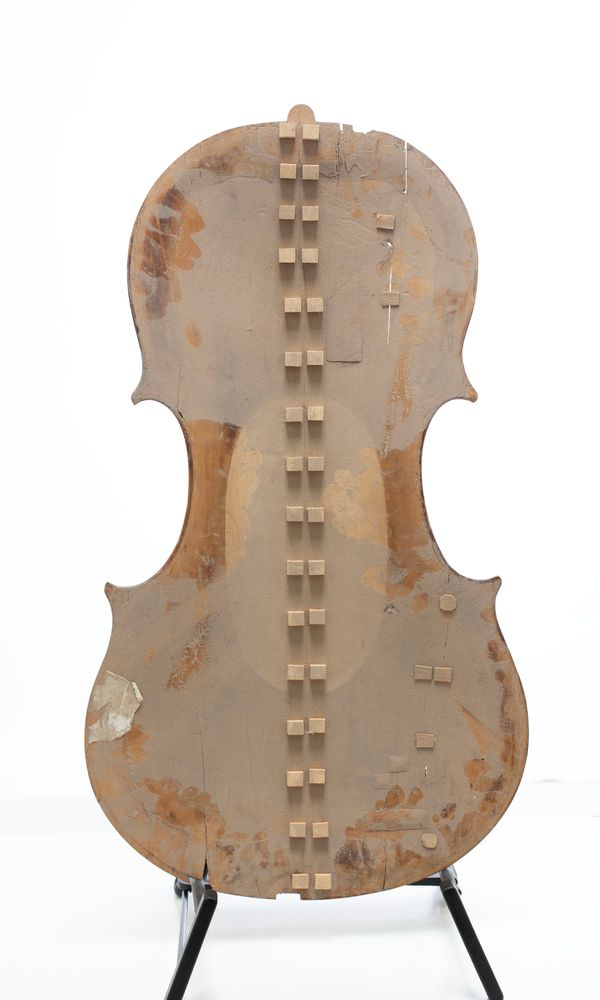 A restoration project - front, back and ribs of a cello - Photo 4