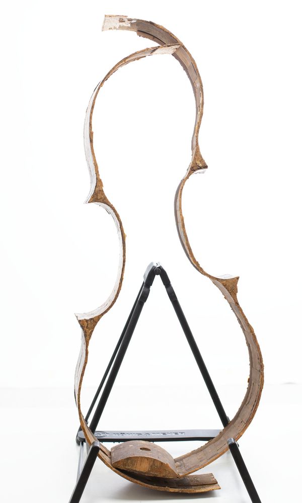 A restoration project - front, back and ribs of a cello - Photo 5