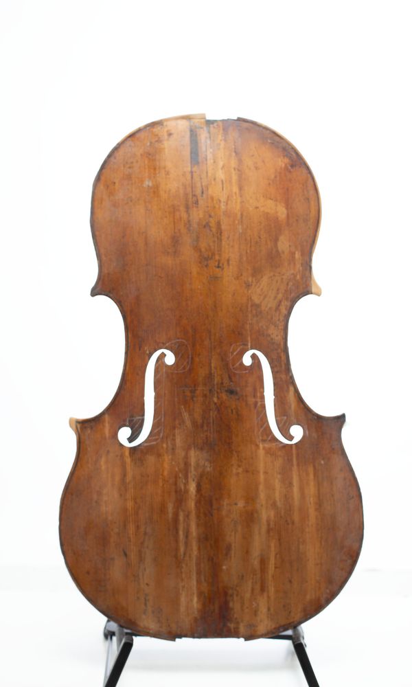 A restoration project - front, back and ribs of a cello