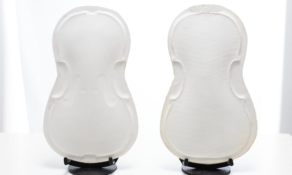 Six Del Gesù violin plaster casts - Photo 2