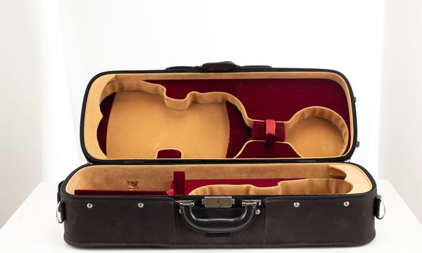 A double violin case, unbranded