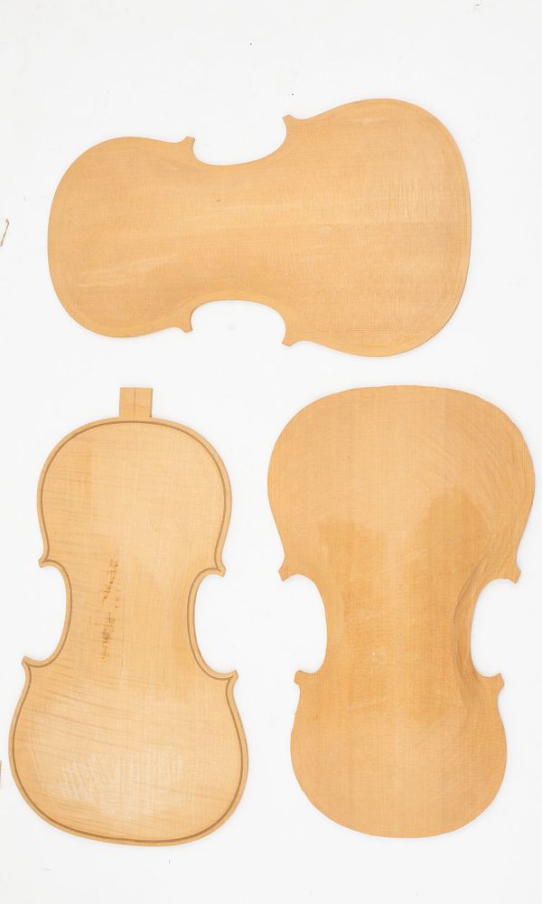 A violin mould including rib structure and three partially made violin/viola body