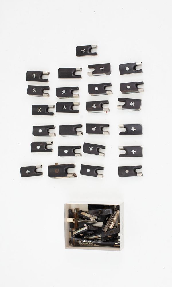 A large quantity of frogs