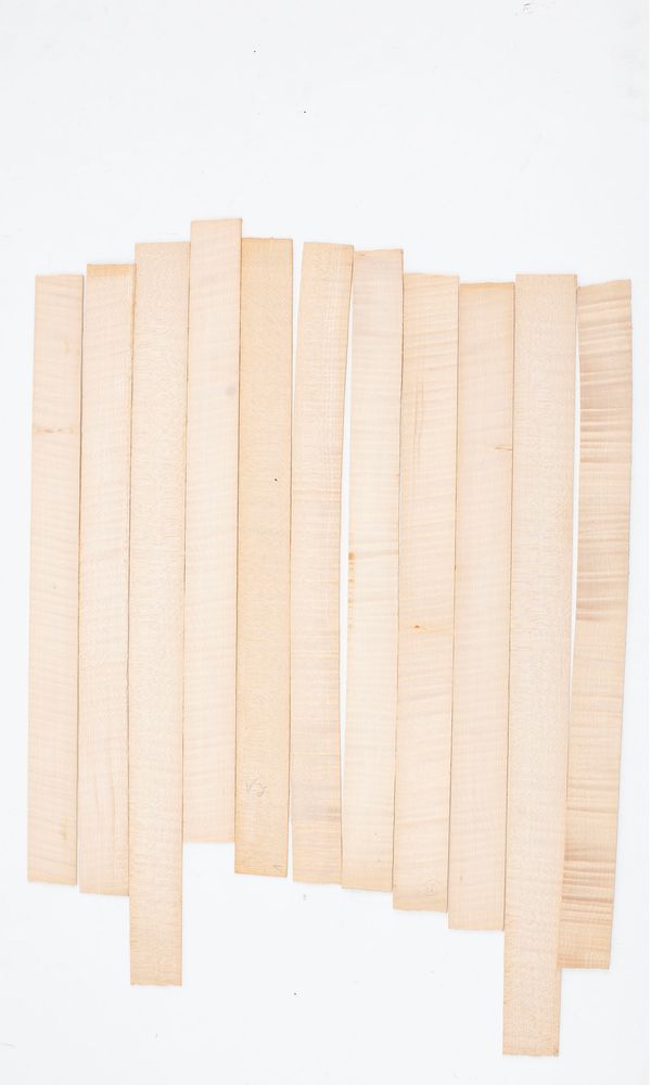 Twelve violin ribs, maple, varying sizes