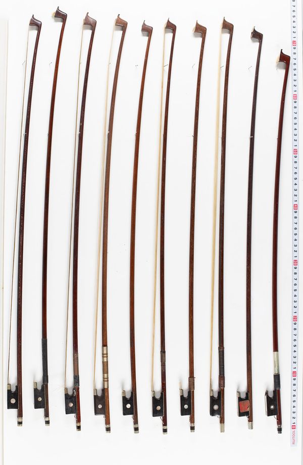 A bundle of twenty bows, varying lengths and sizes