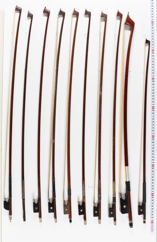 A bundle of twenty bows, varying lengths and sizes