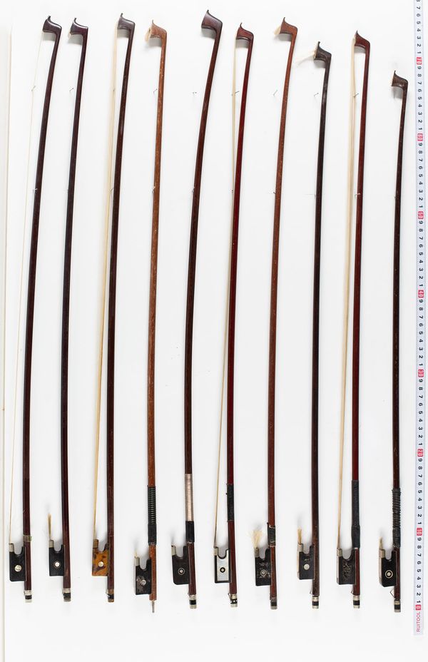 A bundle of twenty bows, varying lengths and sizes