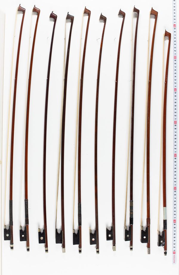 A bundle of twenty bows, varying lengths and sizes