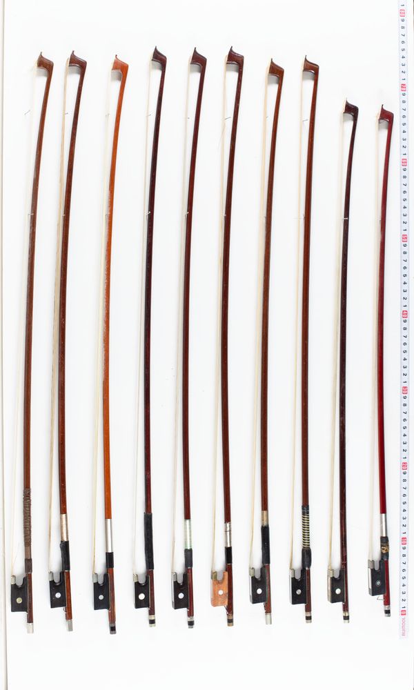 A bundle of twenty bows, varying sizes