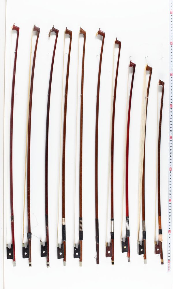 A bundle of twenty bows, varying sizes