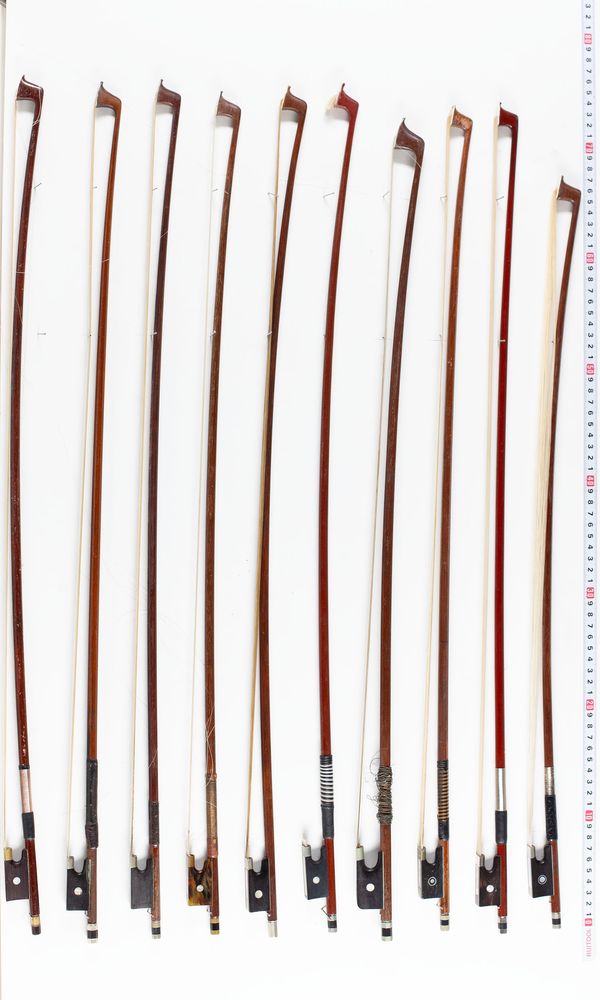 A bundle of twenty bows, varying sizes