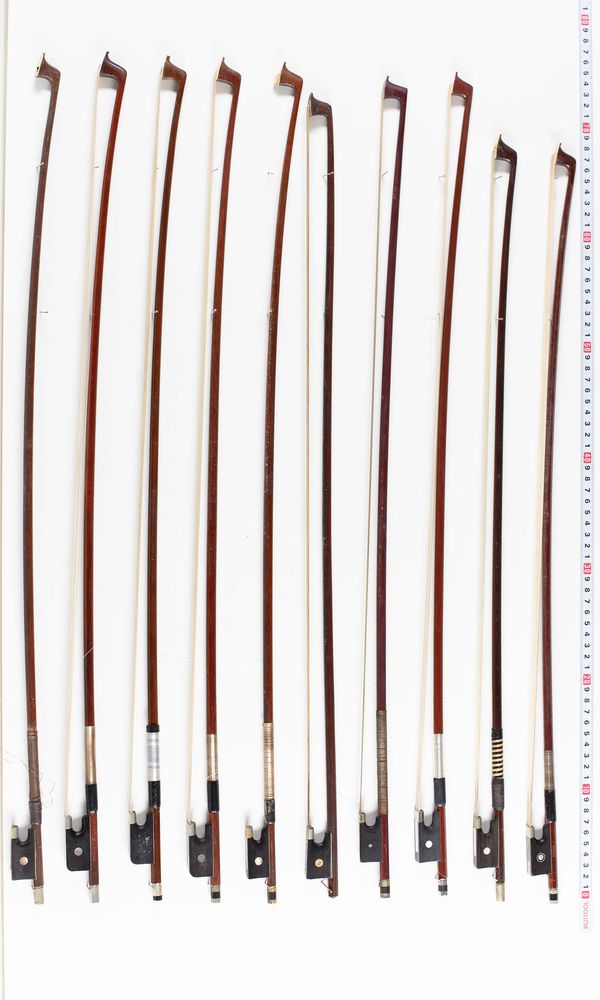 A bundle of twenty bows, varying sizes