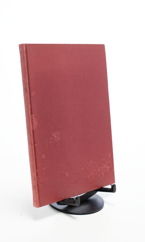 The Viola d'Amore