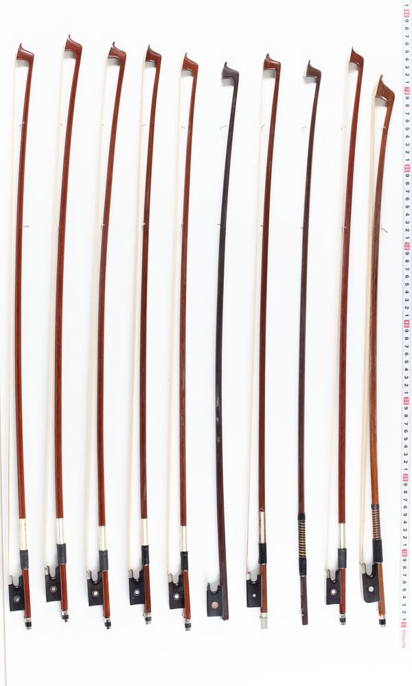 A bundle of twelve bows, varying sizes