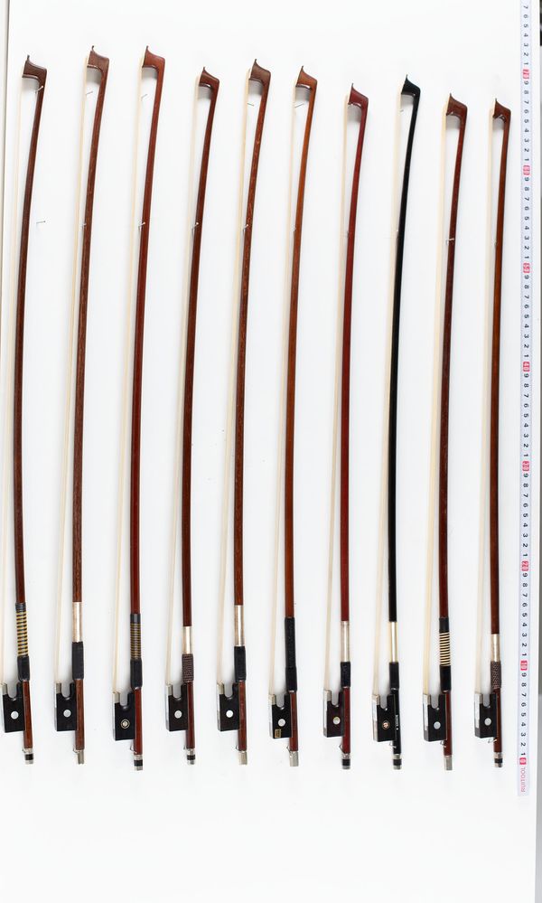 A bundle of thirteen 3/4 sized violin bows, varying sizes