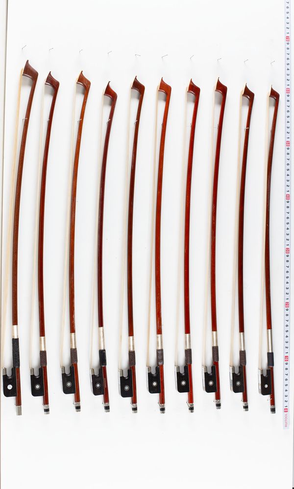 A bundle of fifteen 1/2 sized cello bows, varying sizes