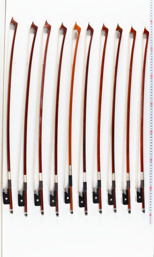 A bundle of sixteen 3/4 sized cello bows, varying sizes