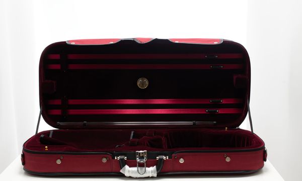 A double violin case, unbranded