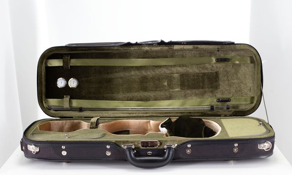 A violin case, unbranded