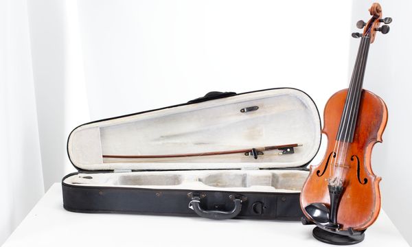 A small-sized violin, labelled The Maidstone