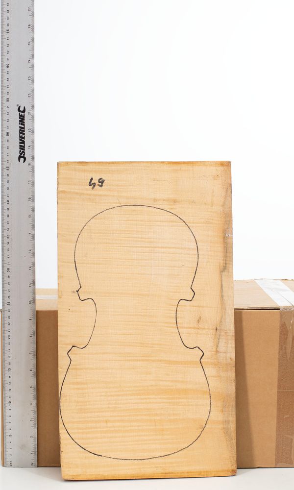 A maple violin back