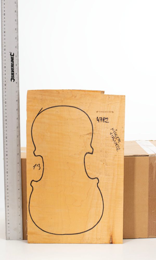 A maple violin back