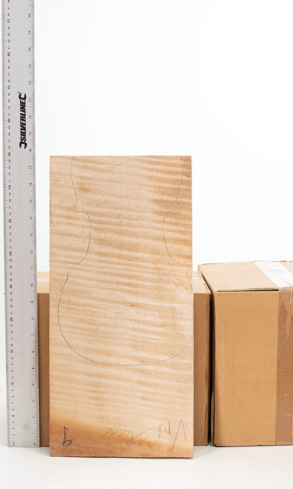 A maple violin back