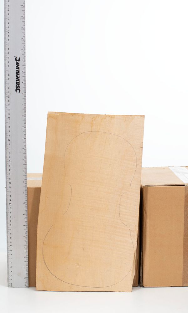A maple violin back
