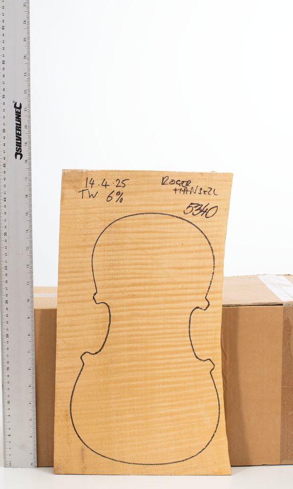 A maple violin back