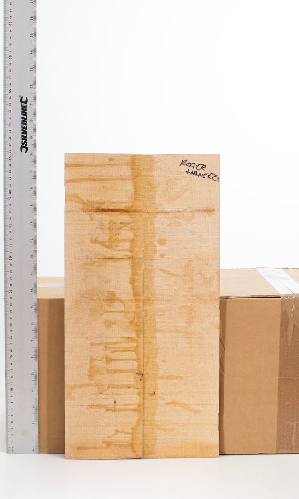 A maple violin back