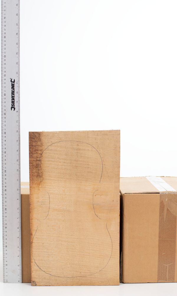 A maple violin back