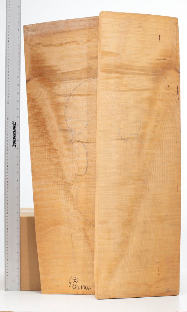 A maple cello back