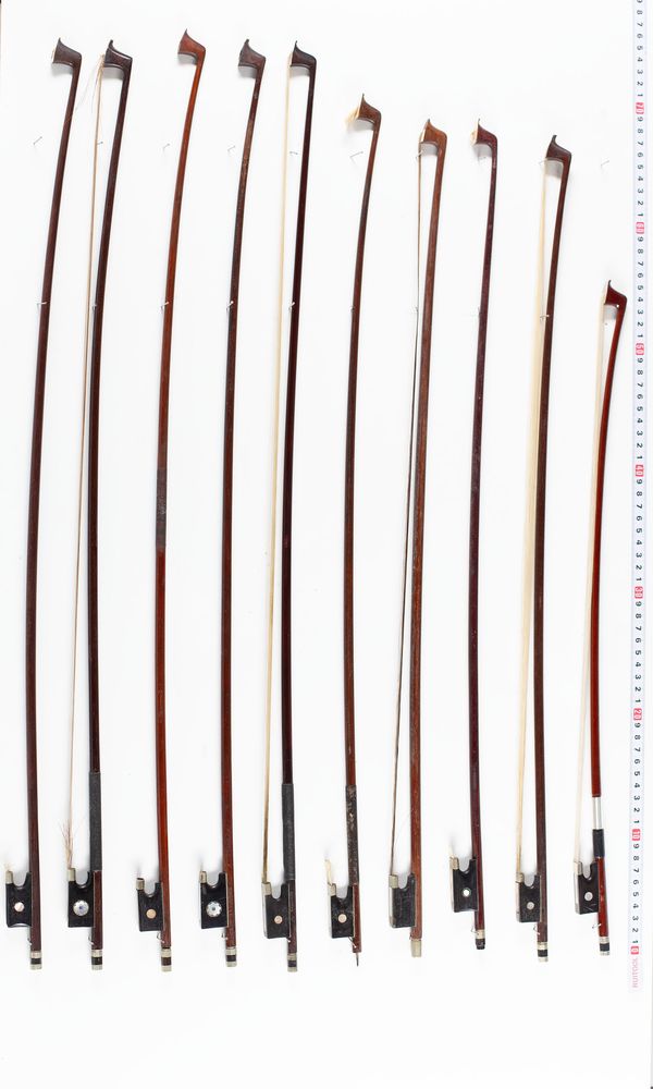 A bundle of twenty bows, varying sizes