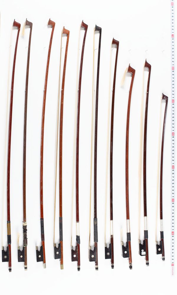 A bundle of twenty bows, varying sizes