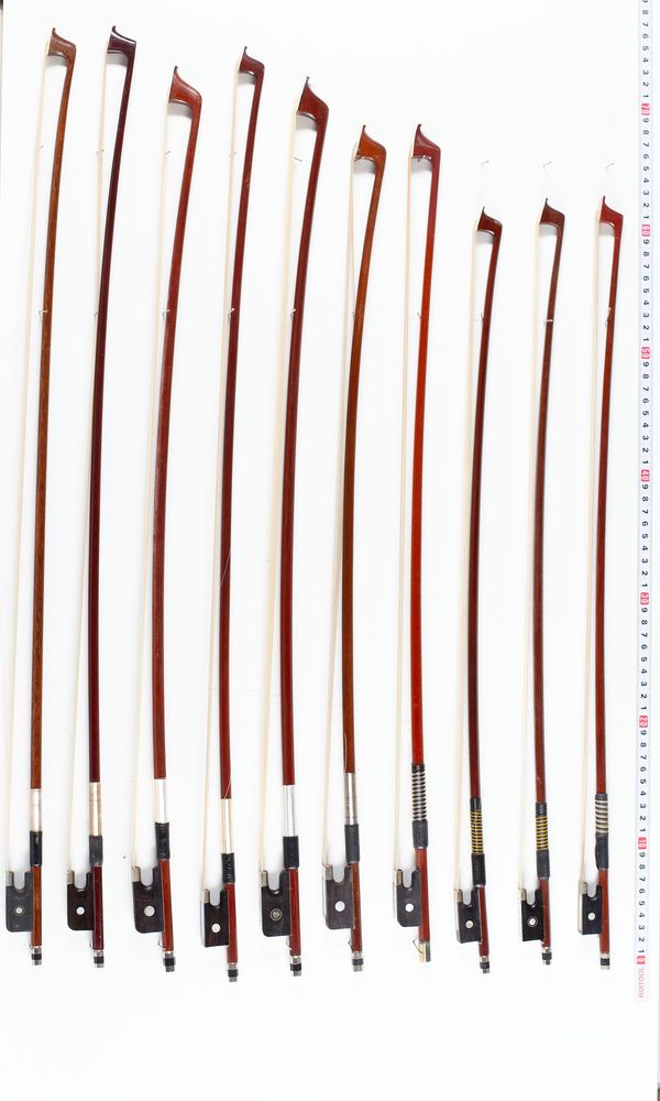 A bundle of twenty bows, varying sizes