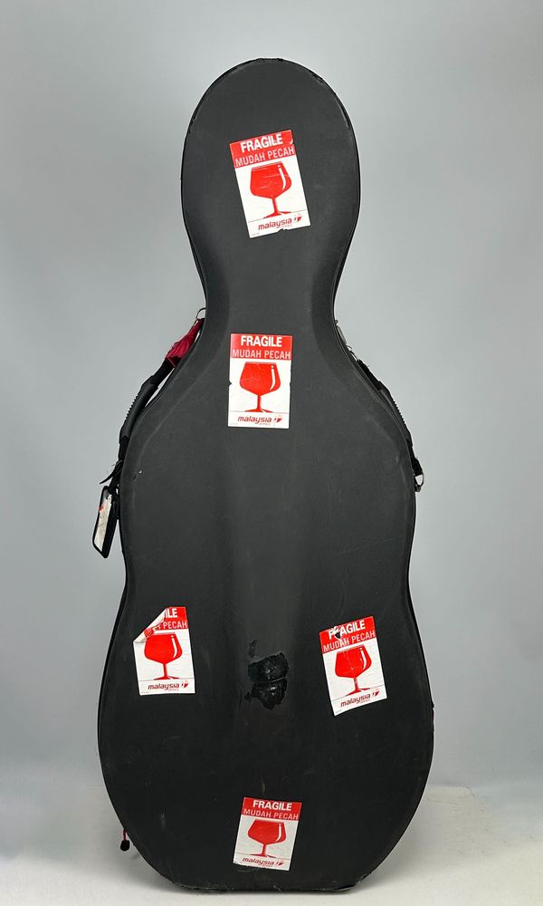 A cello case, branded Gewa