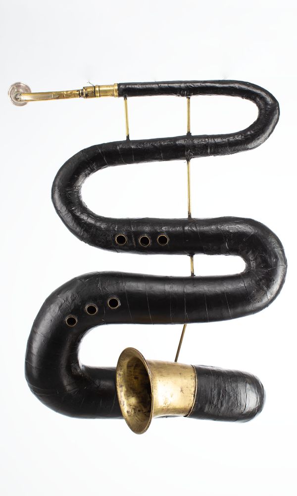 A serpent, unbranded