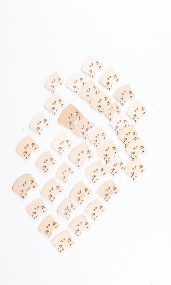 A bundle of thirty-six violin bridges, varying sizes