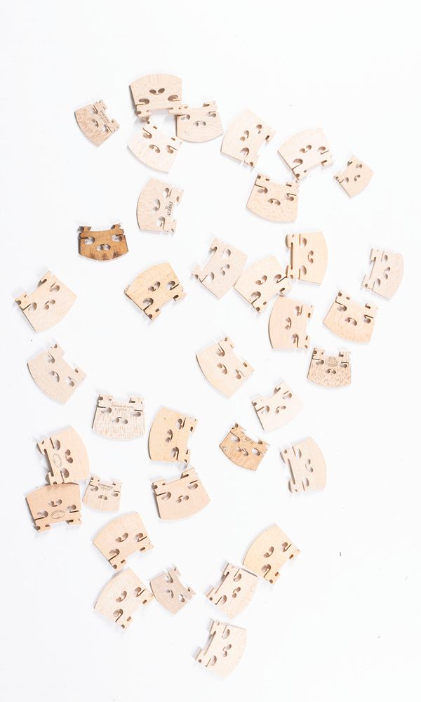 A bundle of thirty-six violin bridges, varying sizes