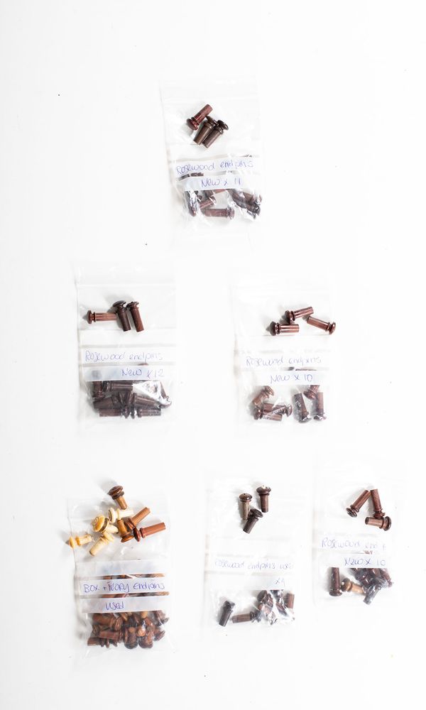A bundle of endpins