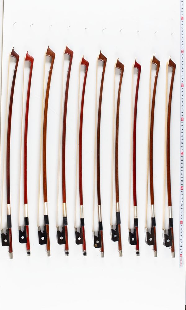 A bundle of ten 1/4 sized cello bows, varying sizes