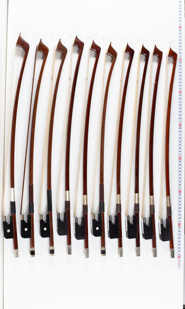 A bundle of ten 1/2 sized double bass bows, varying sizes