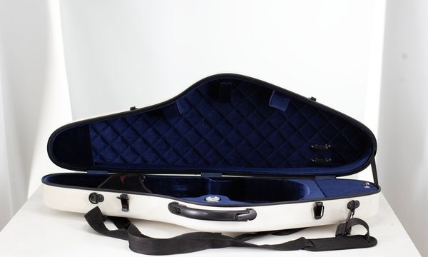 A violin case