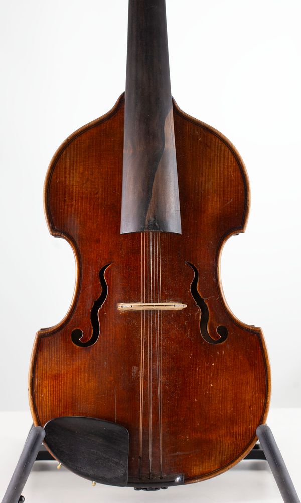 A viola d'amore, labelled Ernst Schetelig, Markneukirchen