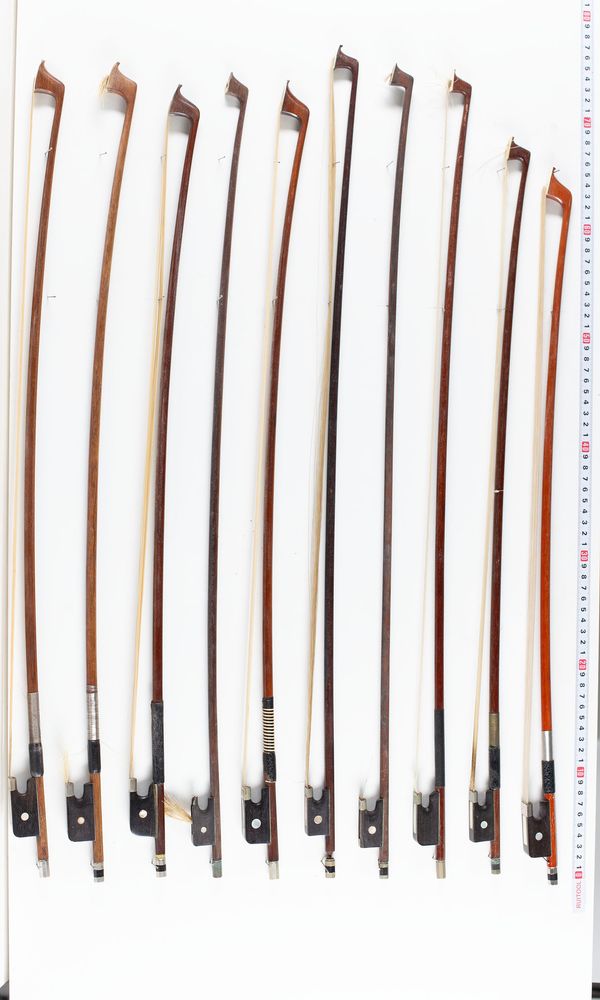 A bundle of twenty bows, varying lengths