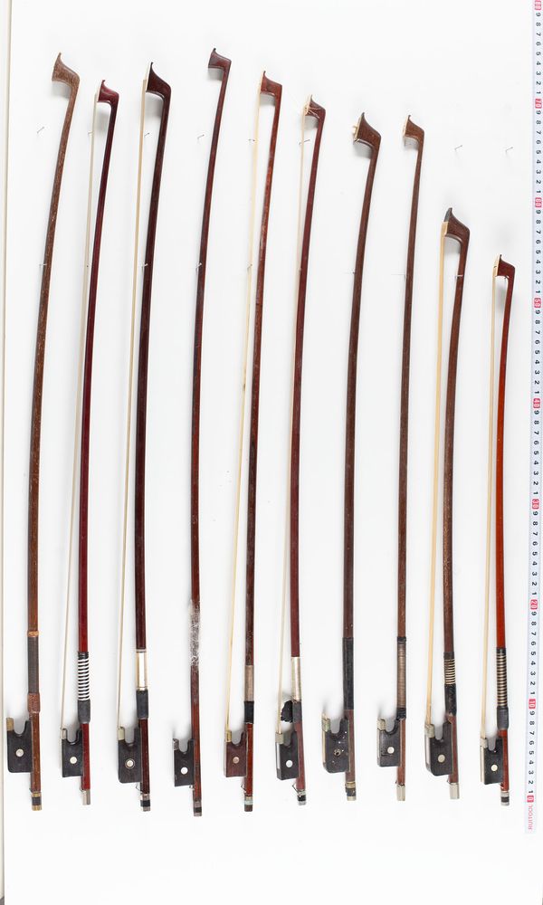 A bundle of twenty bows, varying lengths