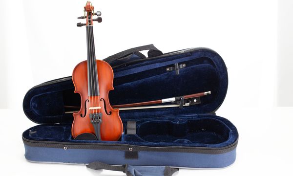 A small violin, labelled Primavera